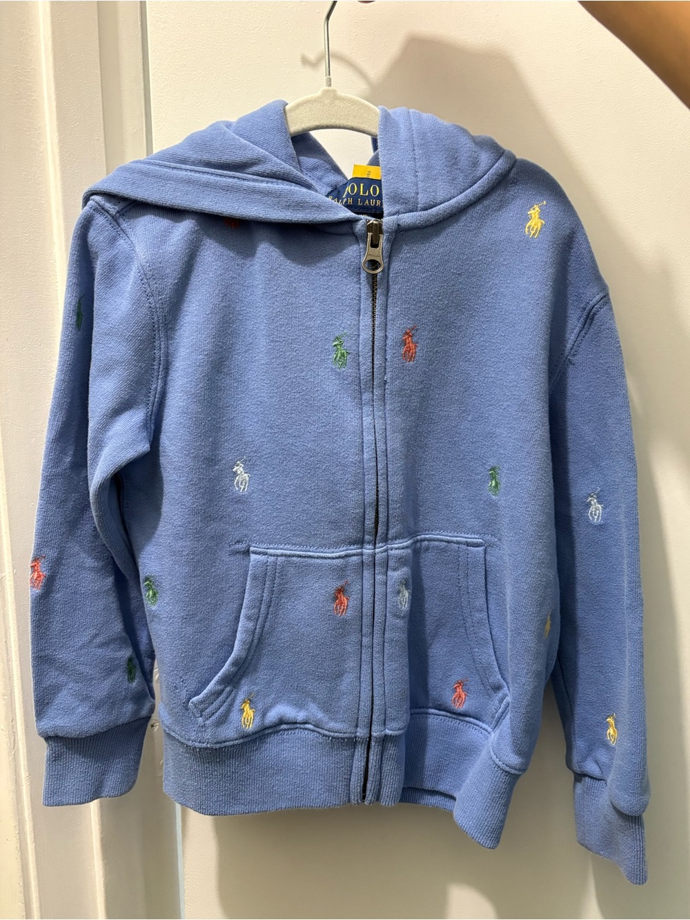 Polo by Ralph Lauren Light Blue Zip Hoodie with Multicolor Pony Embroidery